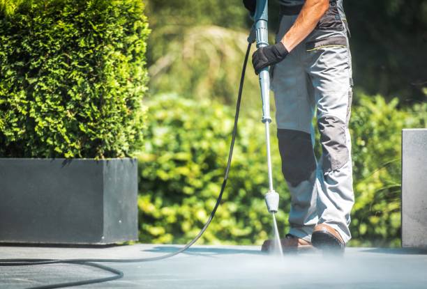 Best Parking Lot Cleaning in Lahaina, HI