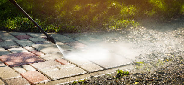 Best Roof Cleaning and Mildew Removal in Lahaina, HI